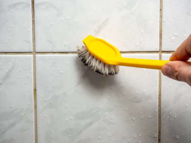 Best Professional Mold Removal  in Corcoran, MN