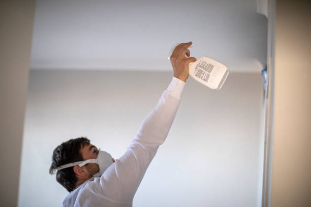 Best Toxic Mold Removal  in Corcoran, MN