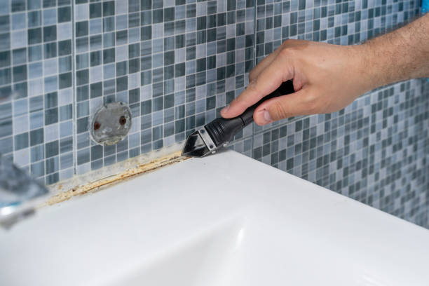 Best Emergency Mold Removal  in Corcoran, MN